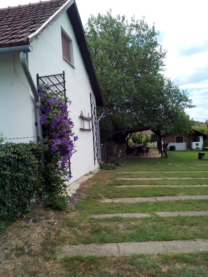 Kiad-Lak Apartmanok - Szep Kartya Elfogado Abádszalók Εξωτερικό φωτογραφία